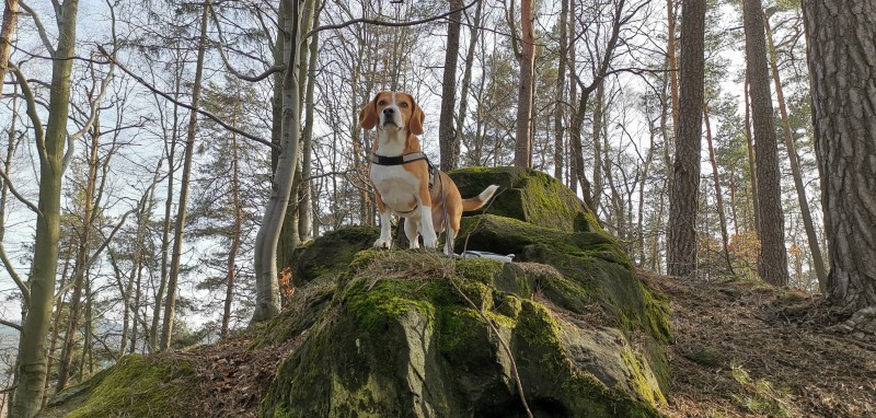 - 40 - K nebi blíž !.jpg